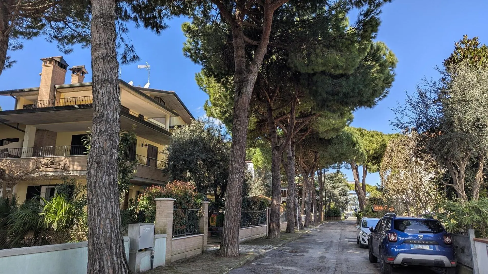 Immerso Nella Pineta - A 5 Minuti A Piedi Dal Mare Τσέρβια Διαμέρισμα